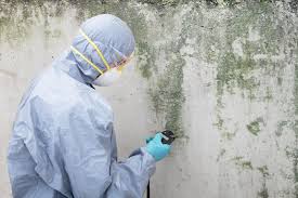 Best Crawl Space Mold Remediation  in Englewood Cliffs, NJ